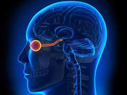 Neuromyelitis Optica