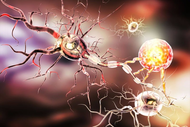 Amyotrophic Lateral Sclerosis