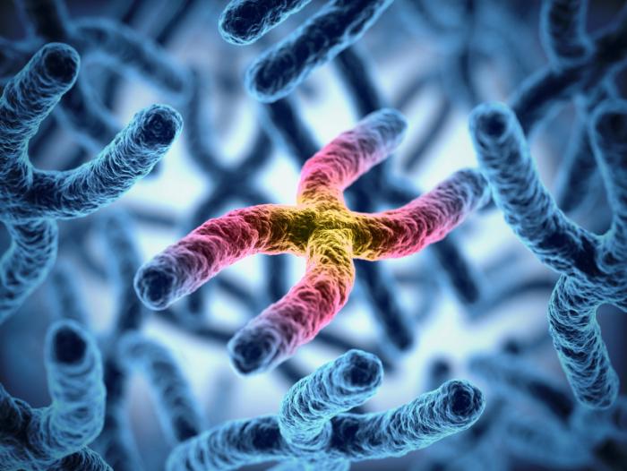 Gaucher Disease (Types 1/3)