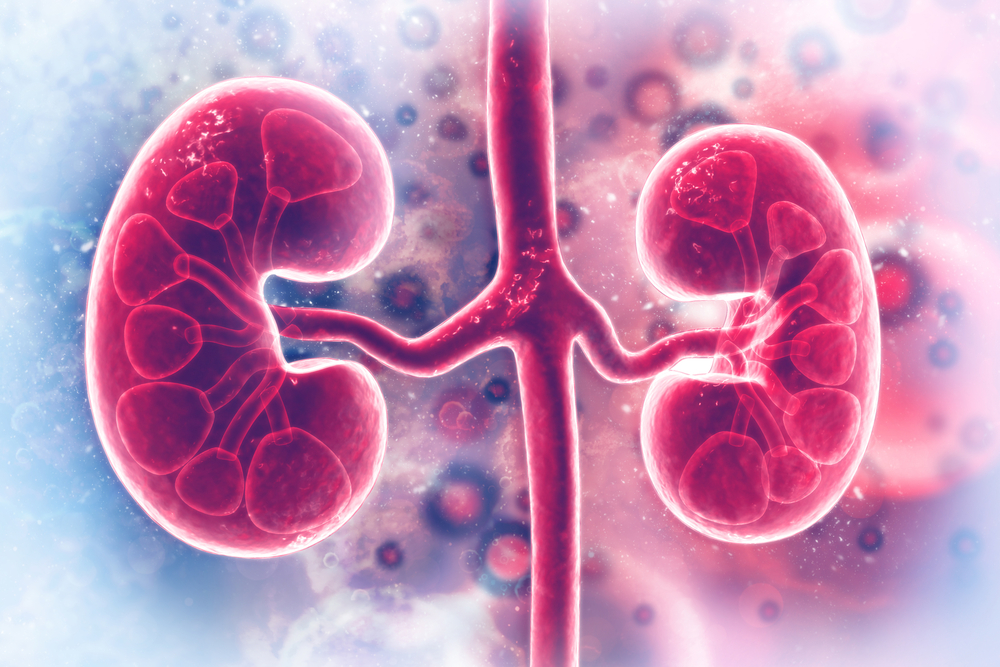 ADPKD Predictor: A cloud-based prognostic tool for Autosomal Dominant Polycystic Kidney Disease